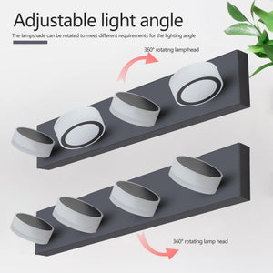 LuxeBlack LED Vanity Light