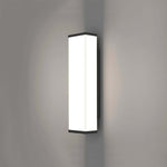 ElementShield Outdoor Wall Luminaire